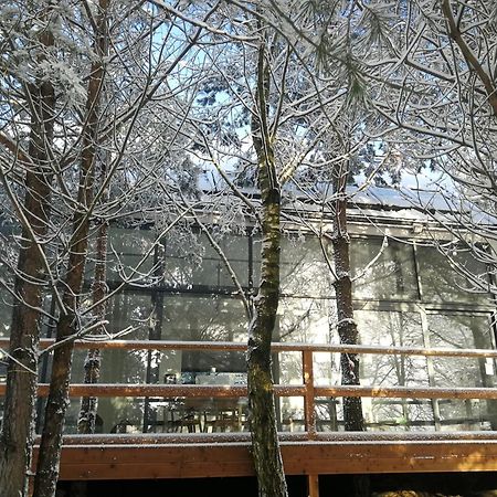 Luksusowy- Nowoczesny Dom W Lesie Villa Kowalewo Dış mekan fotoğraf